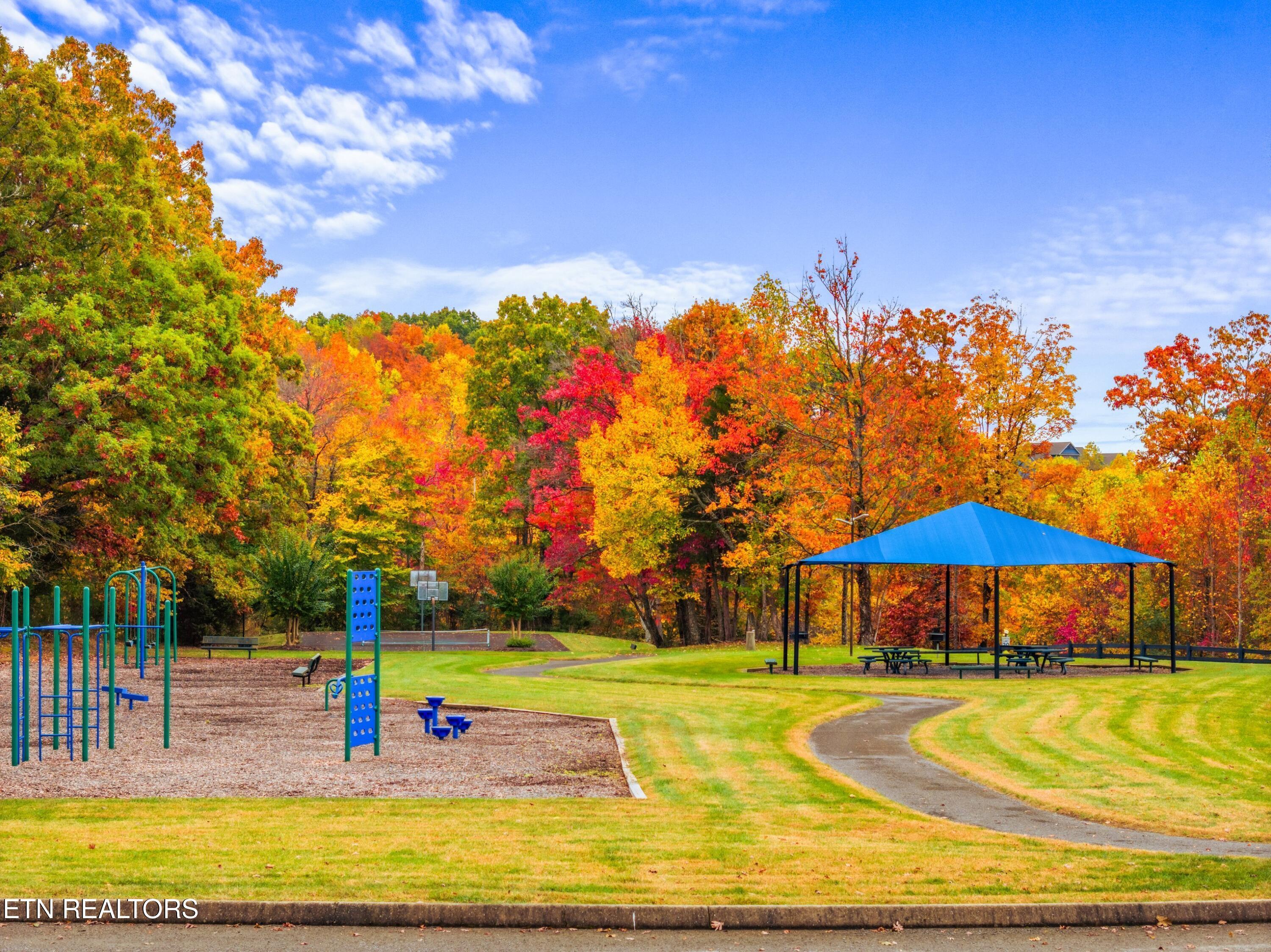 Norris Lake Real Estate - Image# 41
