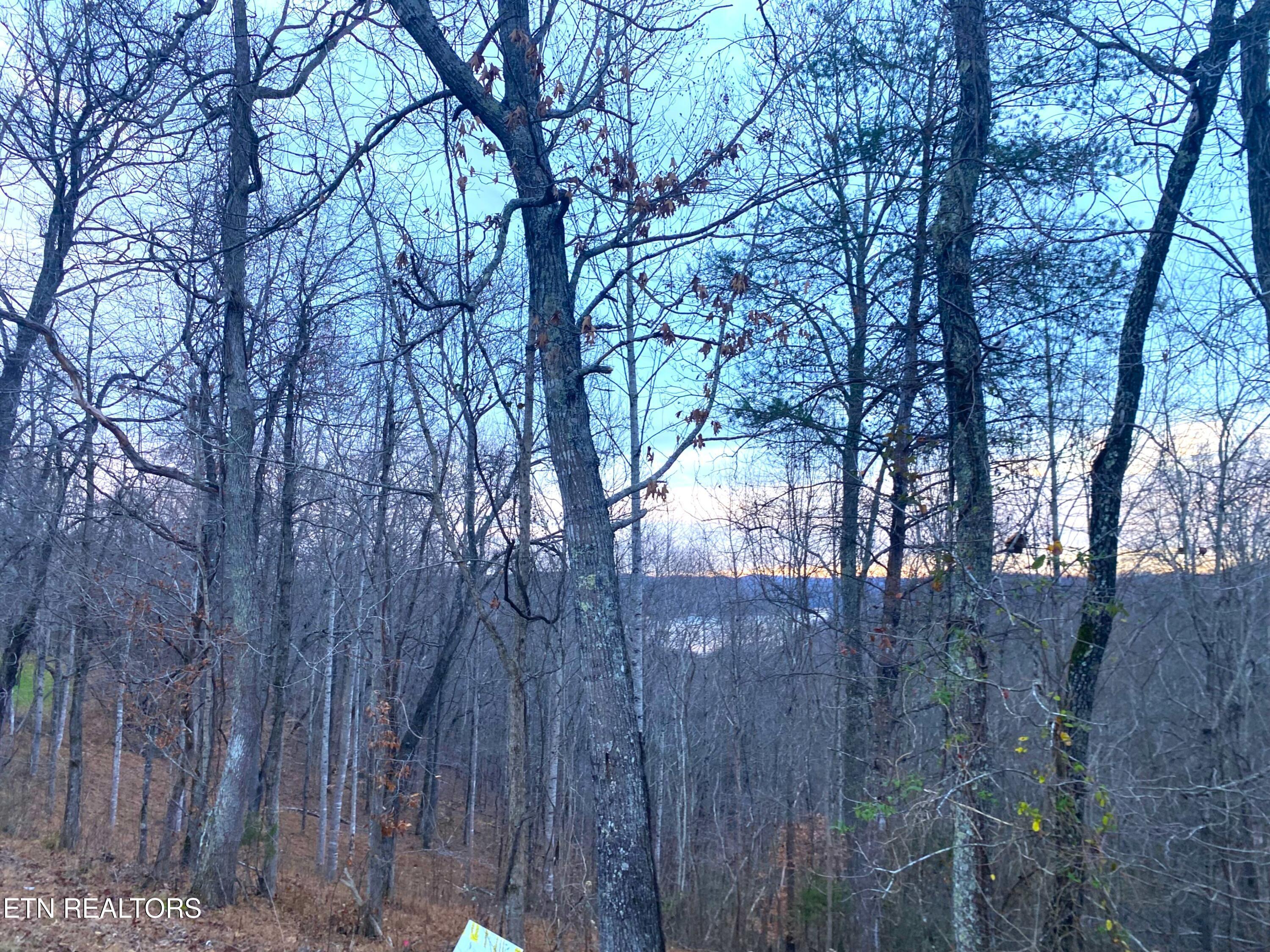 4160 Demory Rd, Lafollette, TN - Norris Lake Real Estate - Image# 2