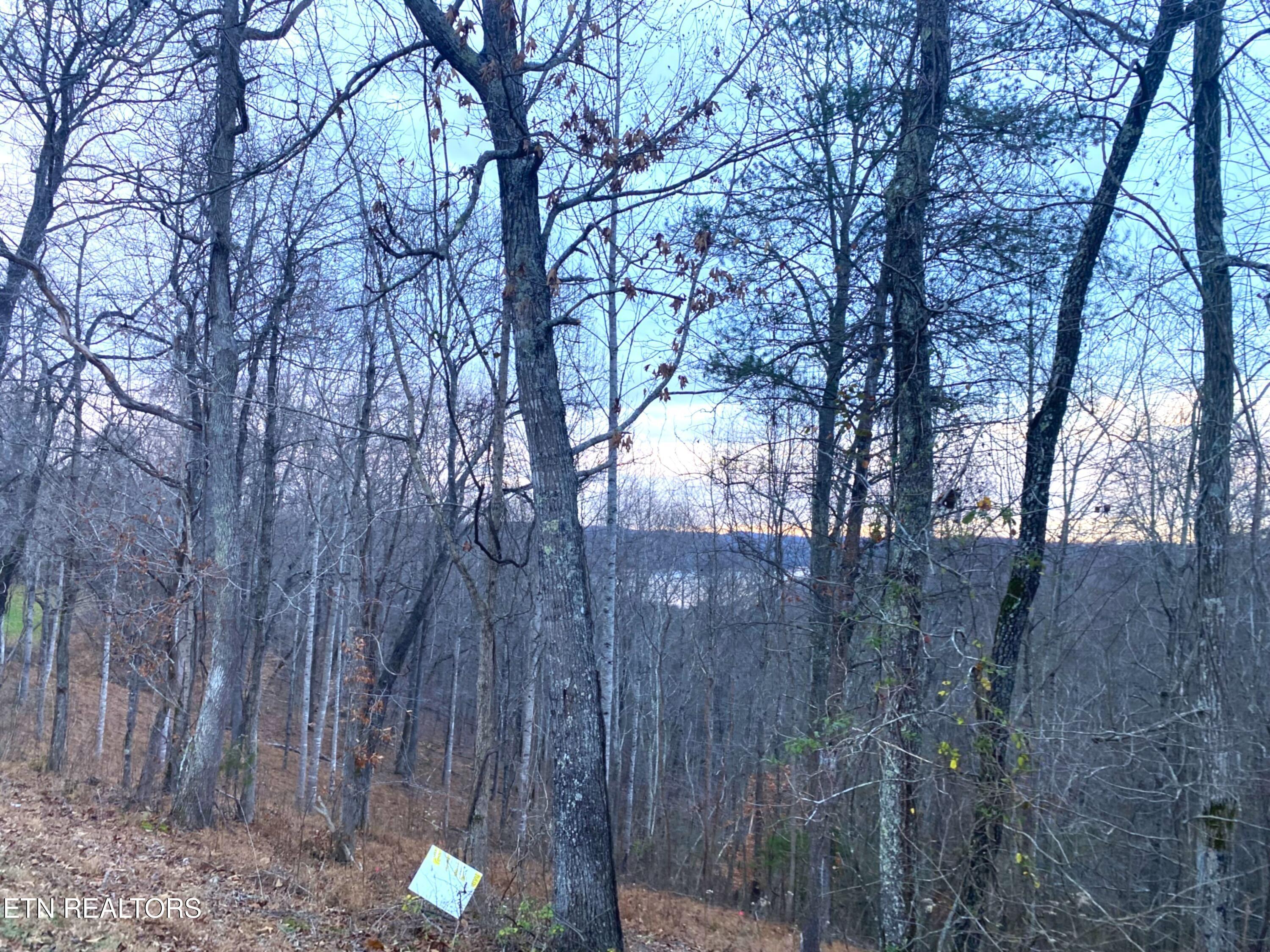 4160 Demory Rd, Lafollette, TN - Norris Lake Real Estate - Image# 9