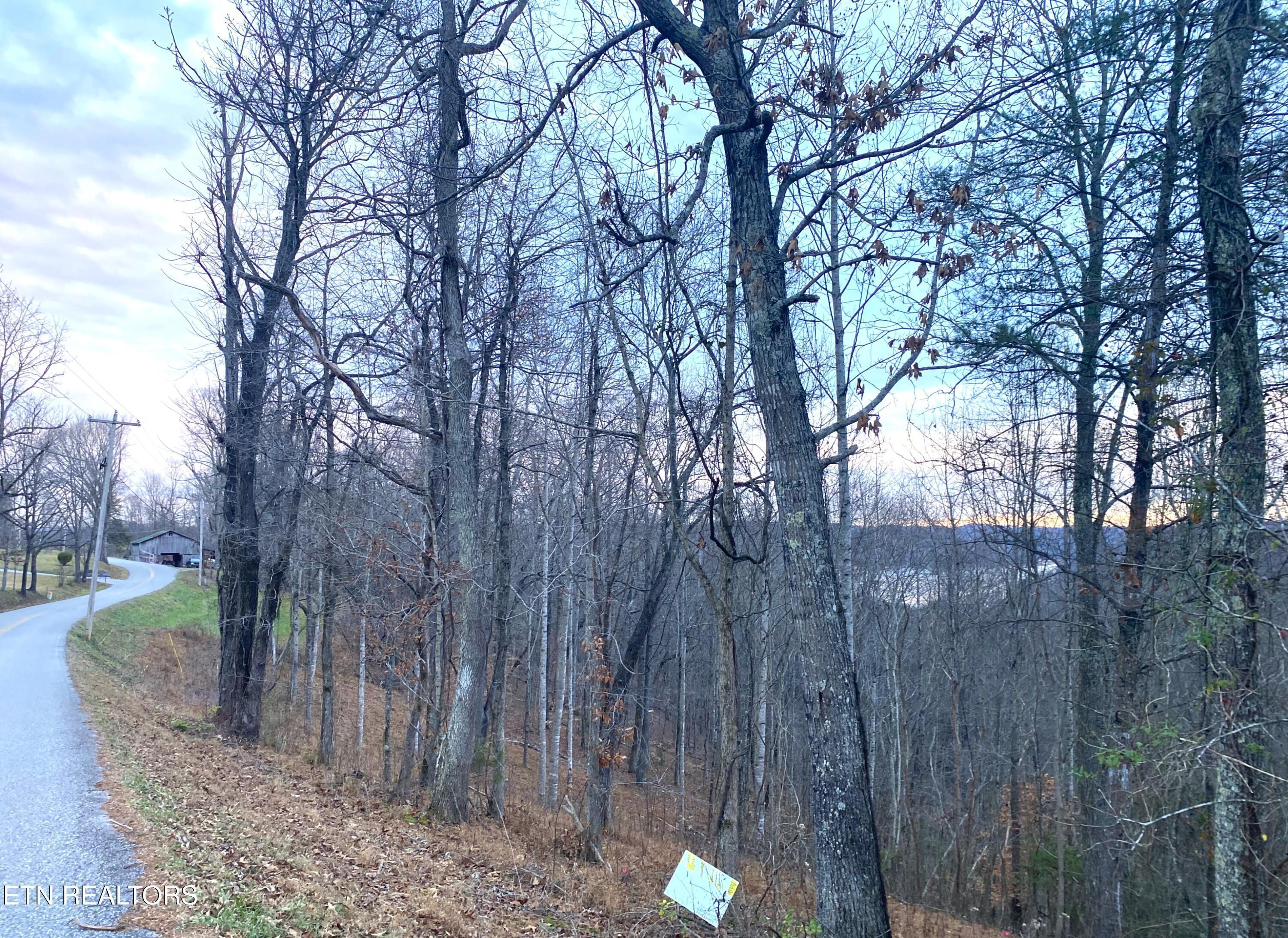 4160 Demory Rd, Lafollette, TN - Norris Lake Real Estate - Image# 10