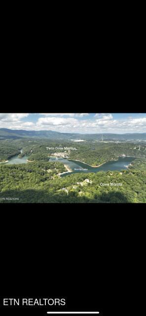 Norris Lake Real Estate - Image# 7