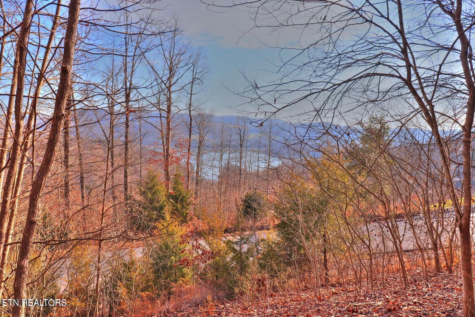 Norris Lake Real Estate - Image# 3