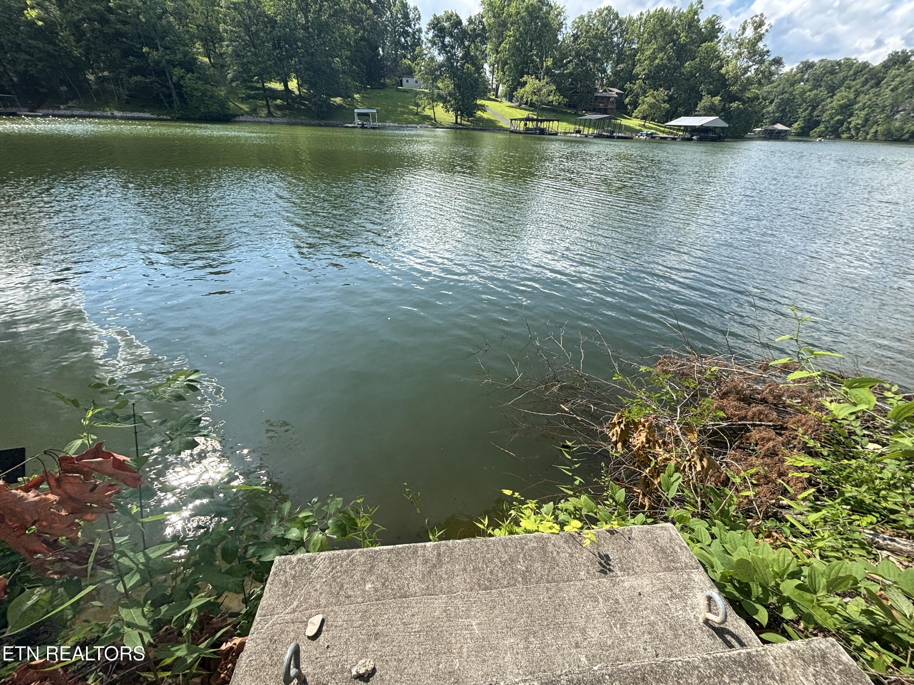 300 Bluff Trace, Jacksboro, TN - Norris Lake Real Estate - Image# 24