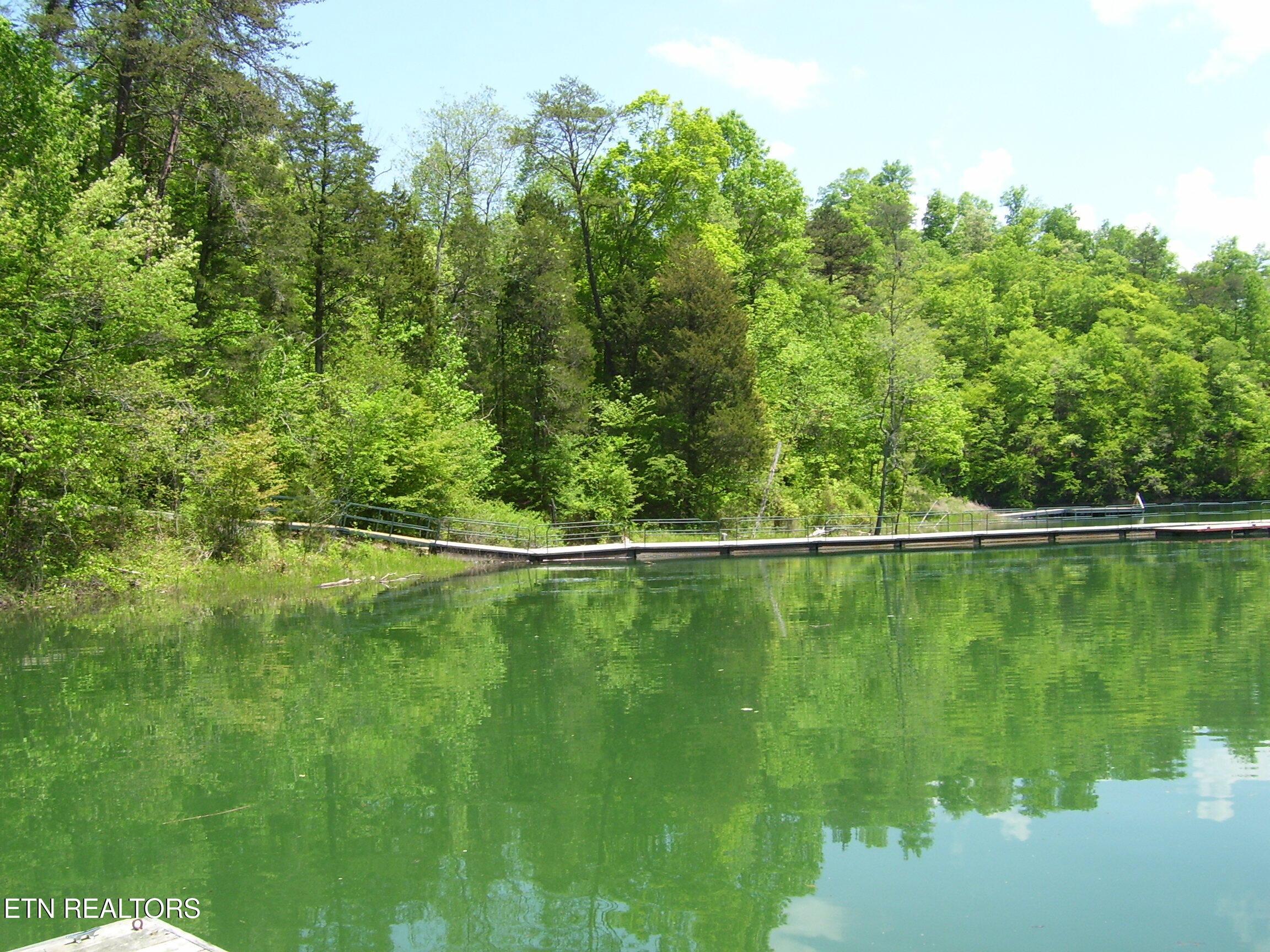 Norris Lake Real Estate - Image# 9