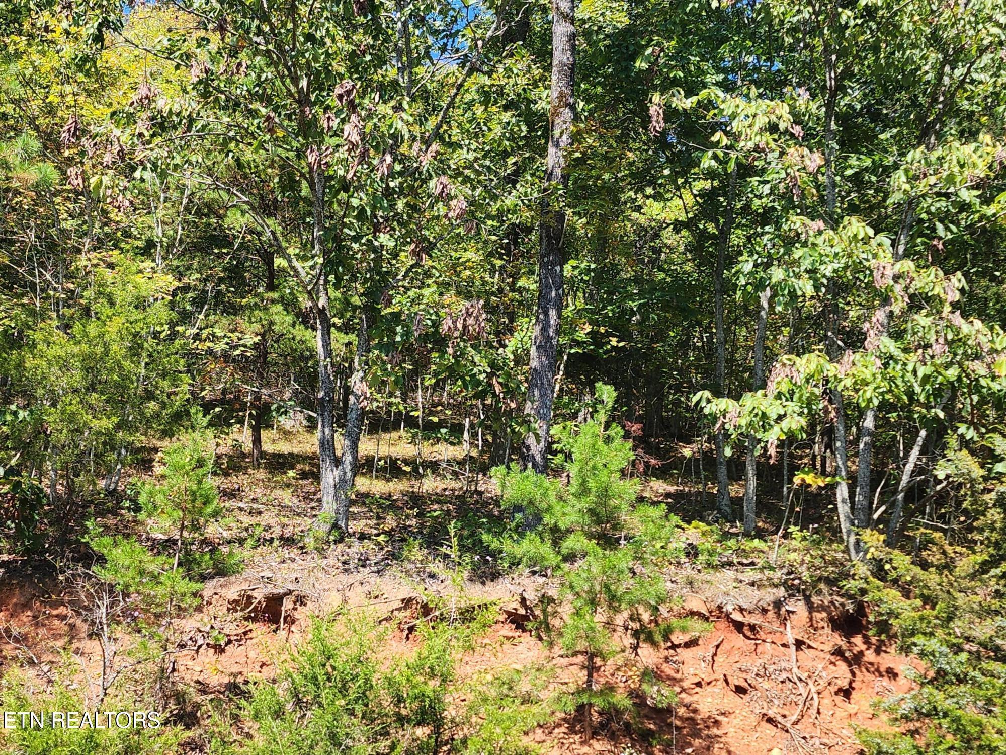 lot 609 Chimney Rock Rd, New Tazewell, TN - Norris Lake Real Estate - Image# 3