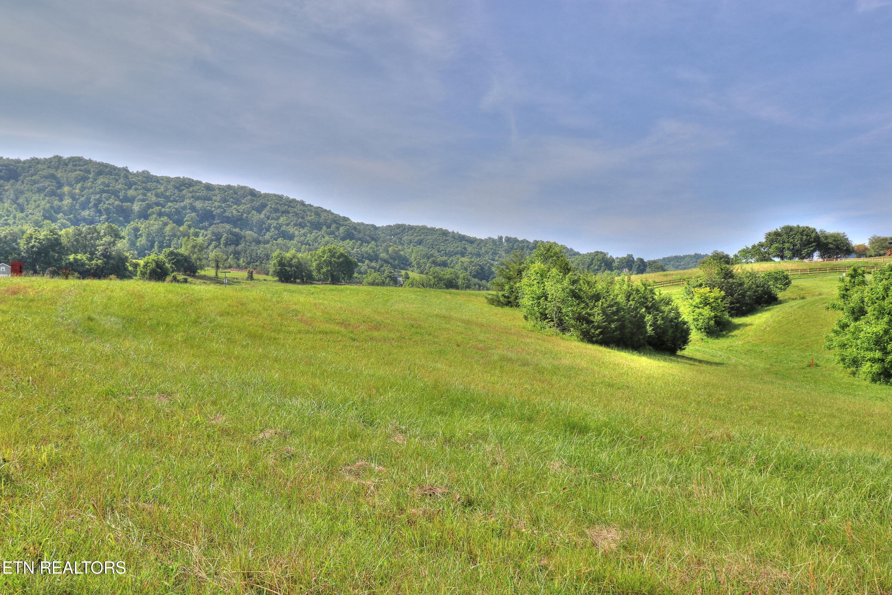 Lot 55 Fishers Loop, Sharps Chapel, TN - Norris Lake Real Estate - Image# 9