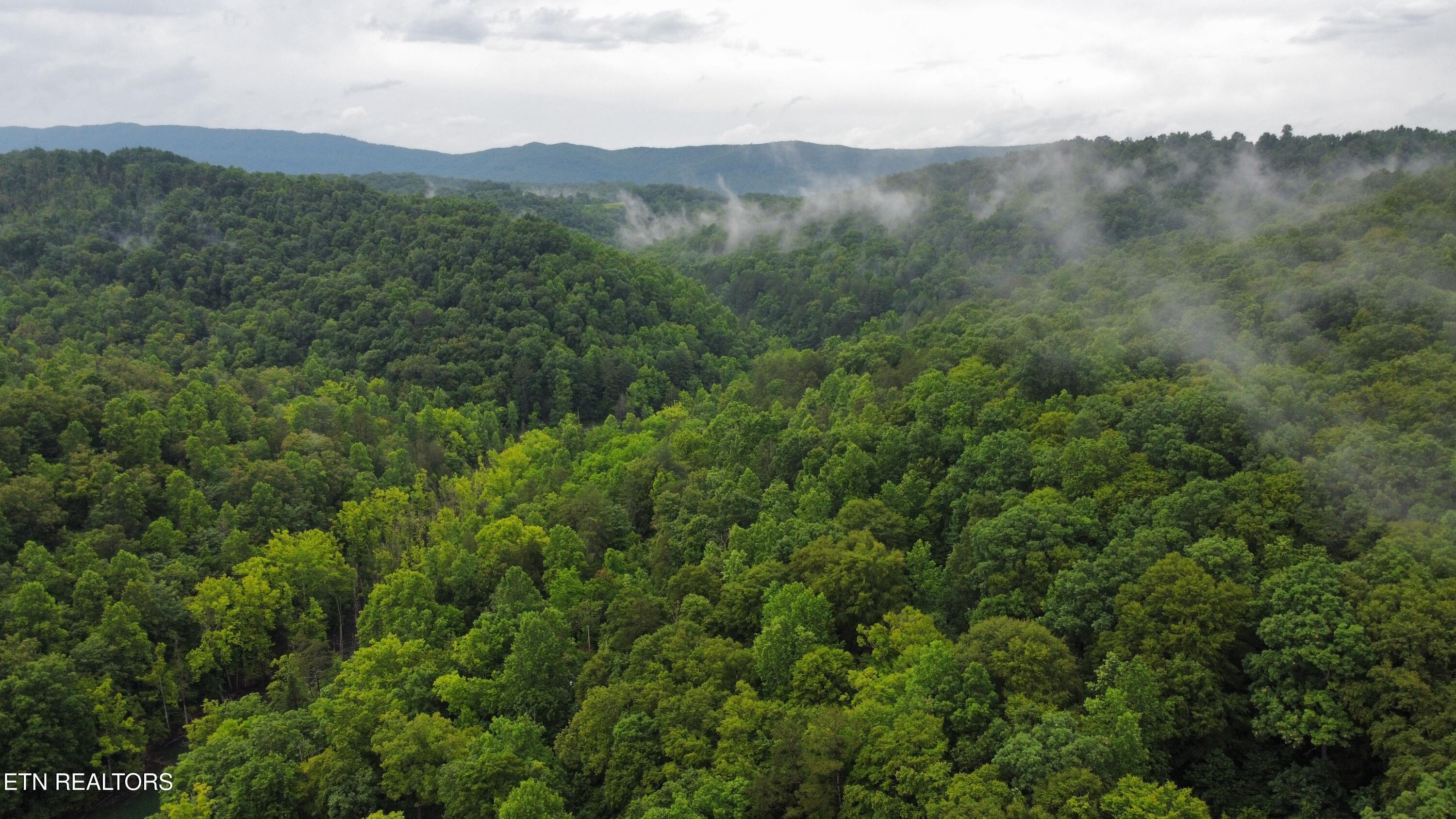 487 Straight Branch Rd, Speedwell, TN - Norris Lake Real Estate - Image# 12