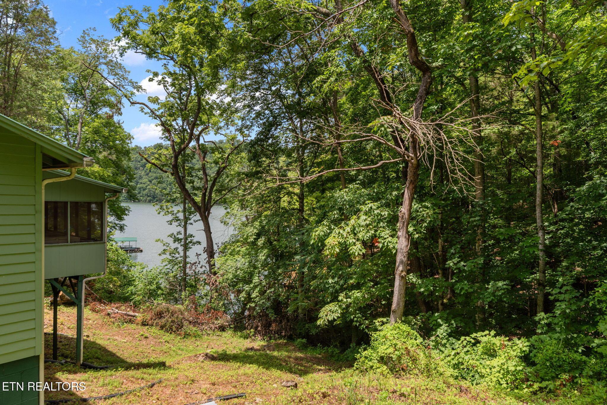 3711 Elm Springs Rd, Washburn, TN - Norris Lake Real Estate - Image# 7
