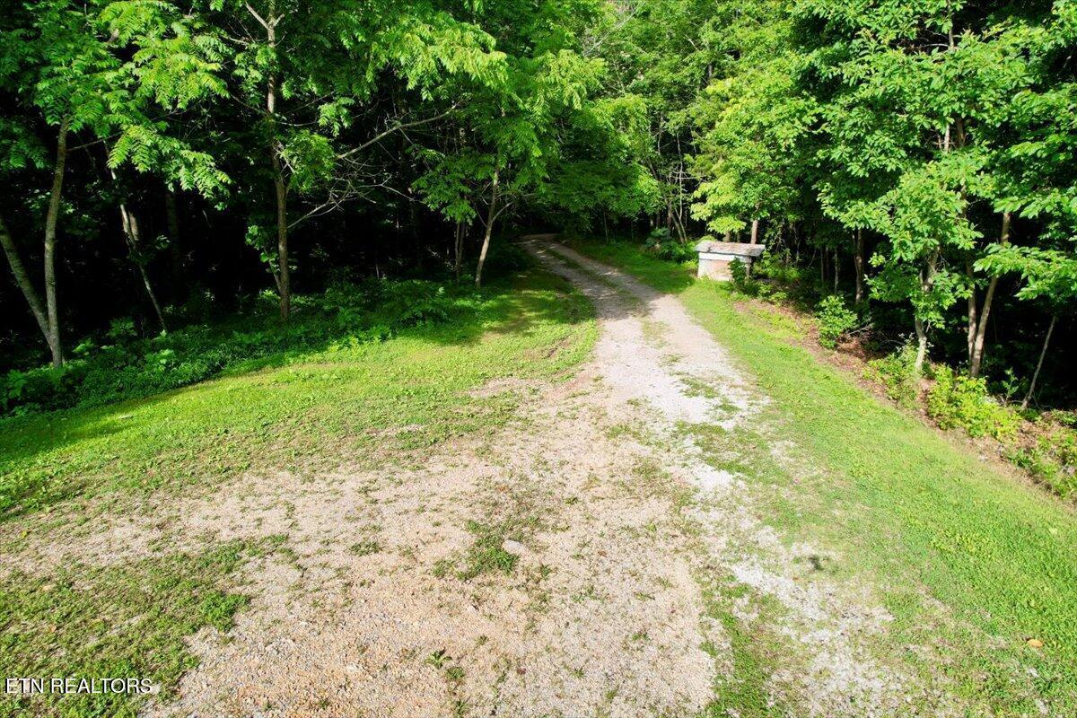 Norris Lake Real Estate - Image# 16
