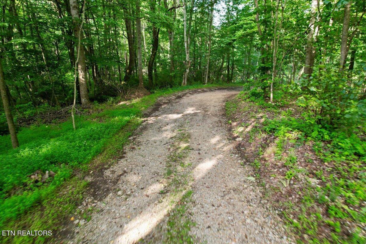 Norris Lake Real Estate - Image# 18