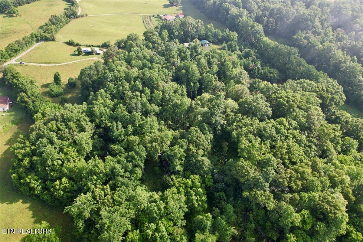 Norris Lake Real Estate - Image# 21