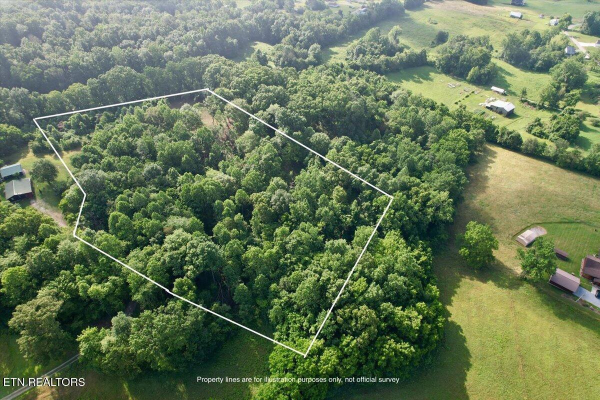 Norris Lake Real Estate - Image# 22