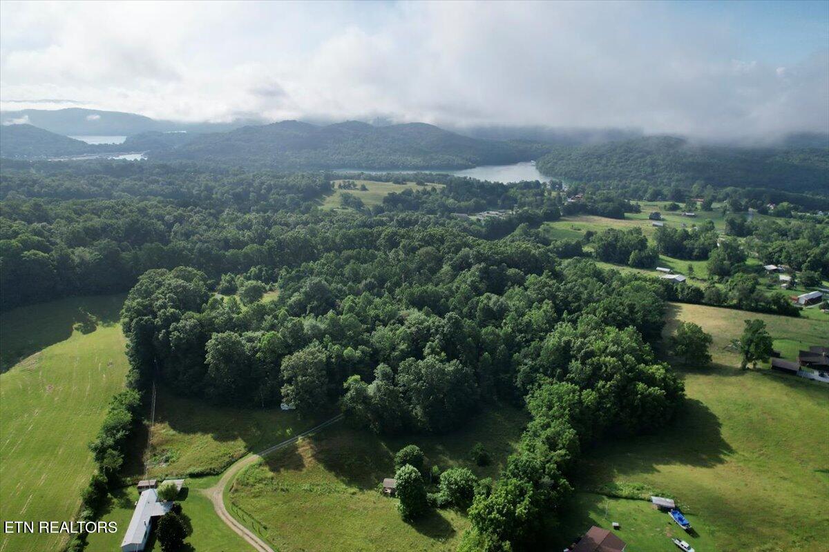 Norris Lake Real Estate - Image# 26