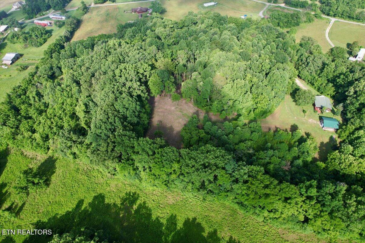 Norris Lake Real Estate - Image# 27