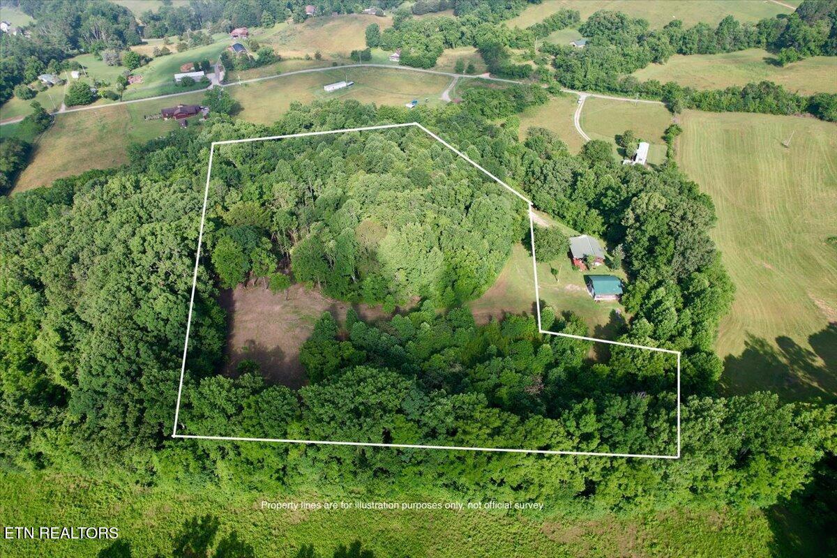 Norris Lake Real Estate - Image# 7