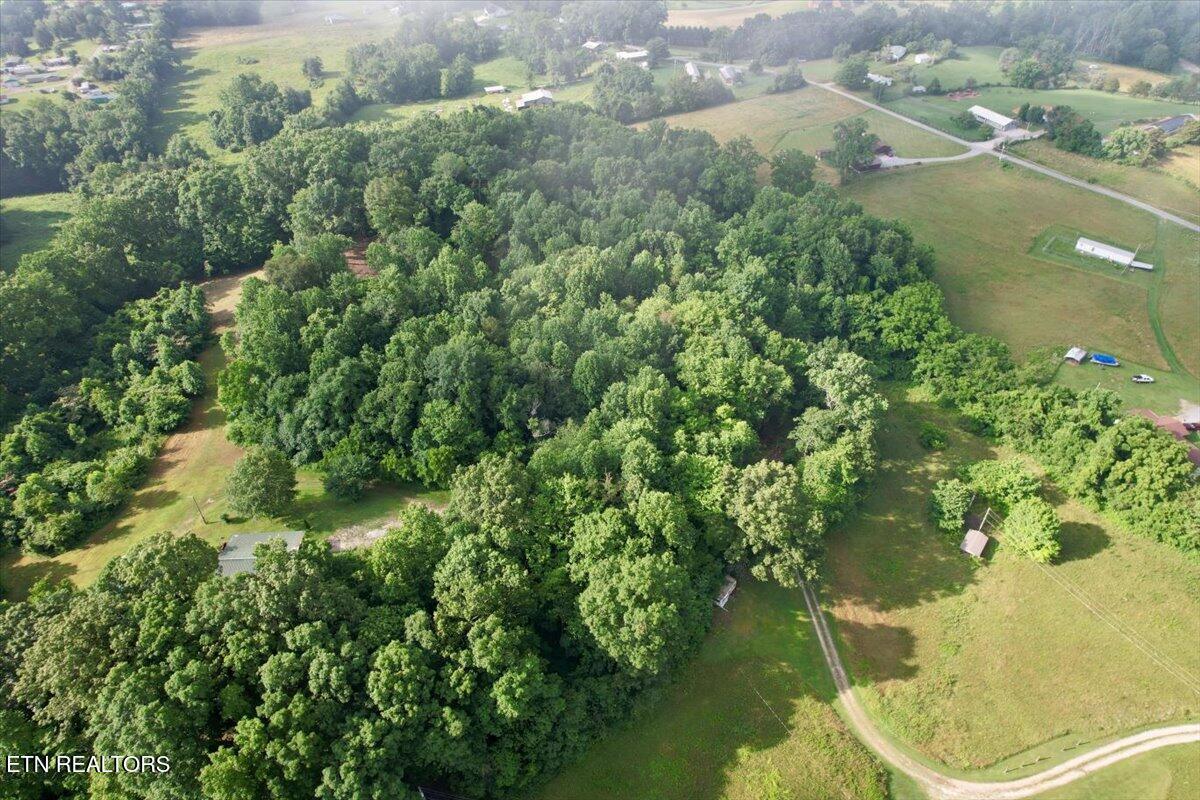 Norris Lake Real Estate - Image# 29