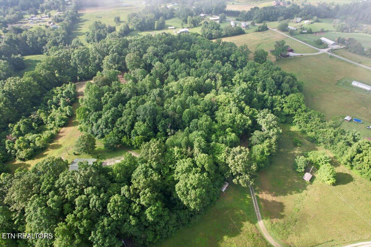 Norris Lake Real Estate - Image# 31