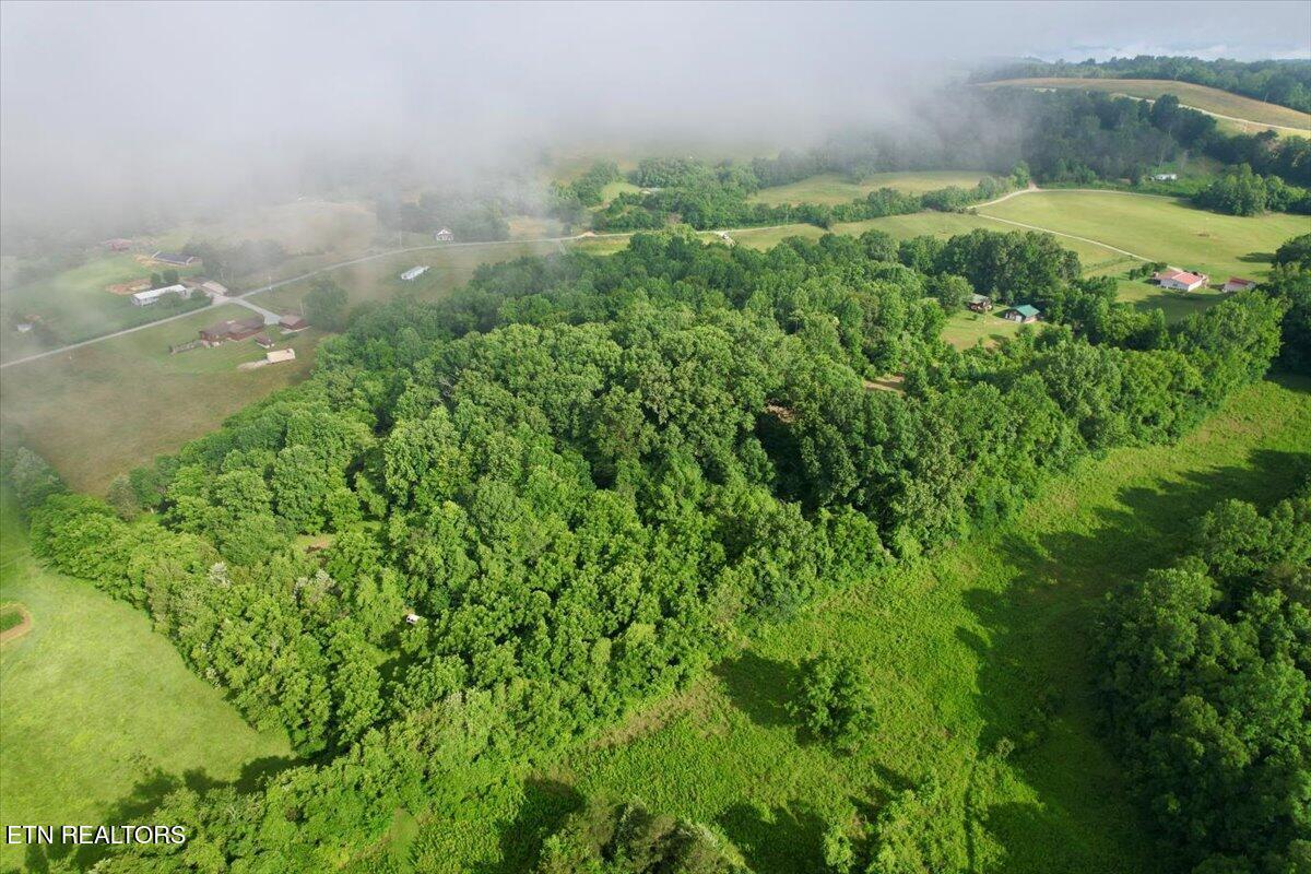 Norris Lake Real Estate - Image# 34