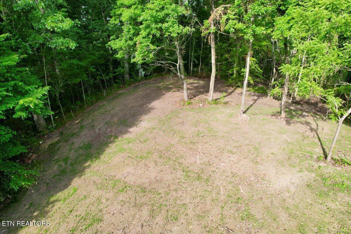 Norris Lake Real Estate - Image# 36