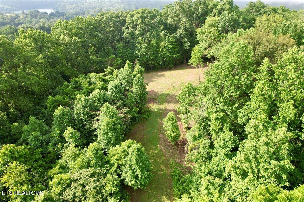 Norris Lake Real Estate - Image# 37