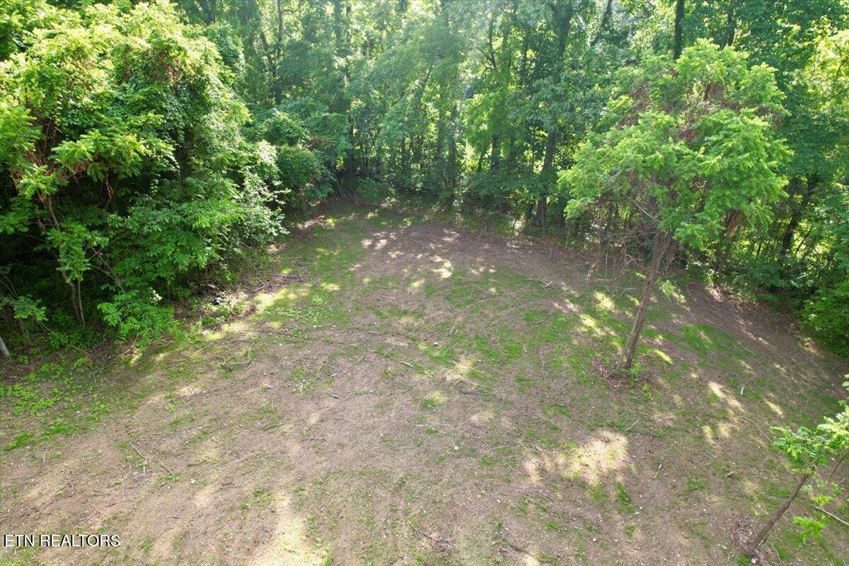 Norris Lake Real Estate - Image# 39