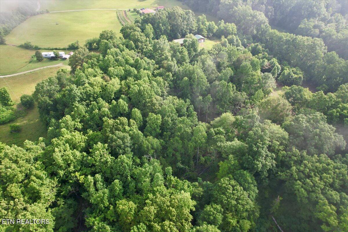 Norris Lake Real Estate - Image# 42