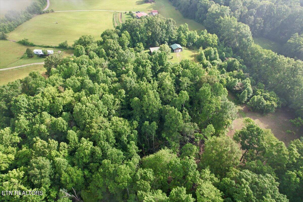 Norris Lake Real Estate - Image# 43