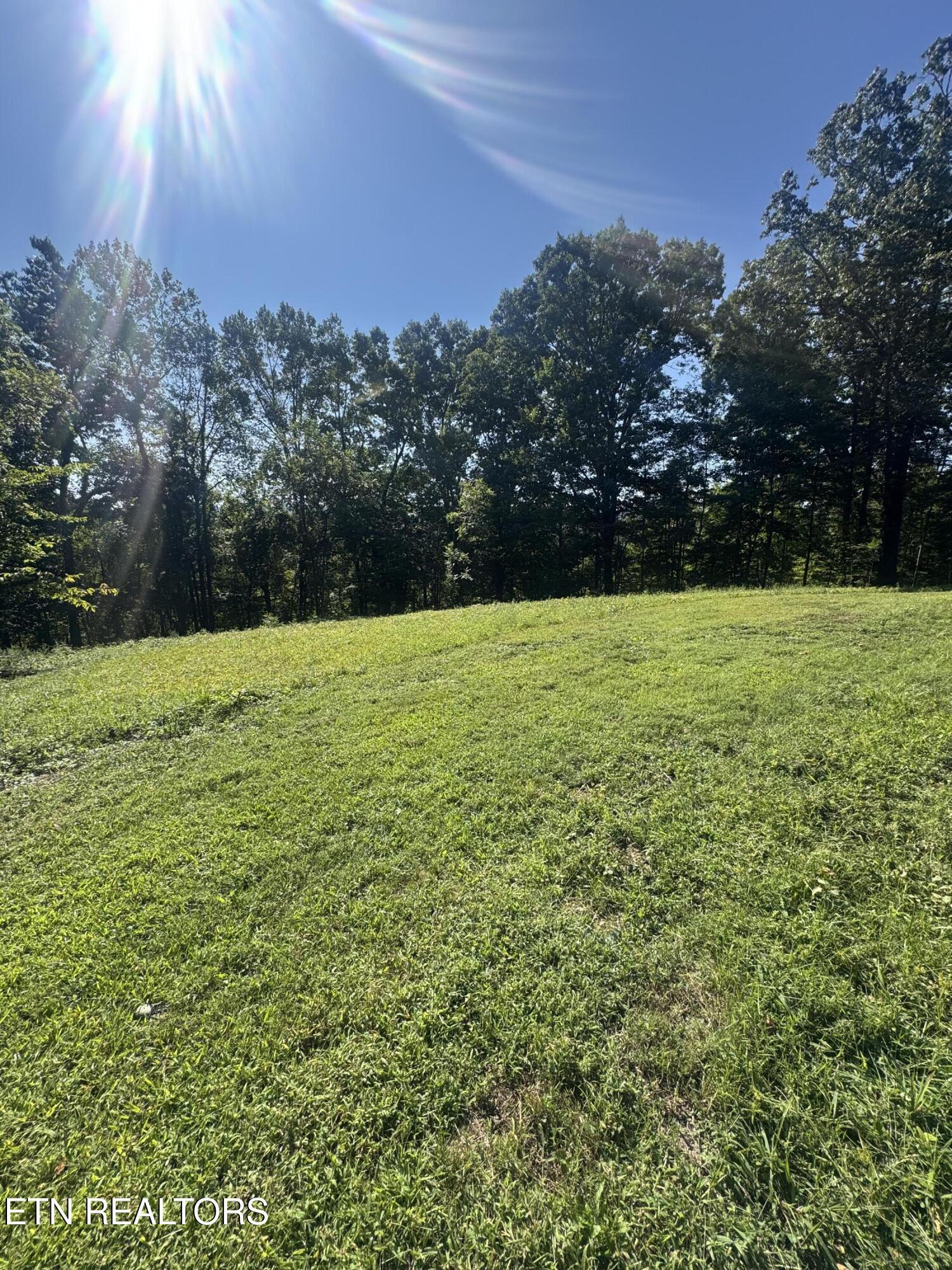 Norris Lake Real Estate - Image# 4
