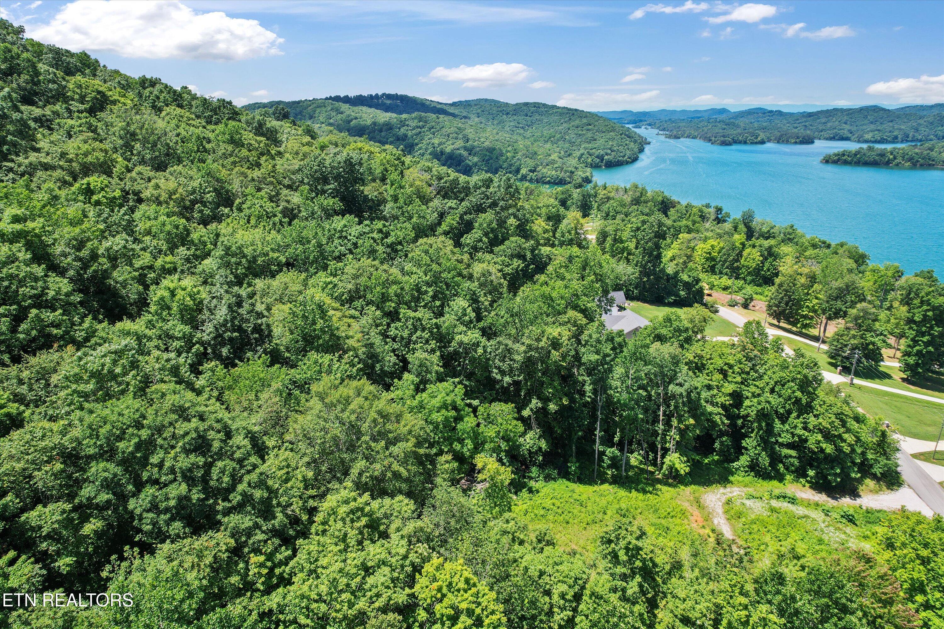 Norris Lake Real Estate - Image# 10