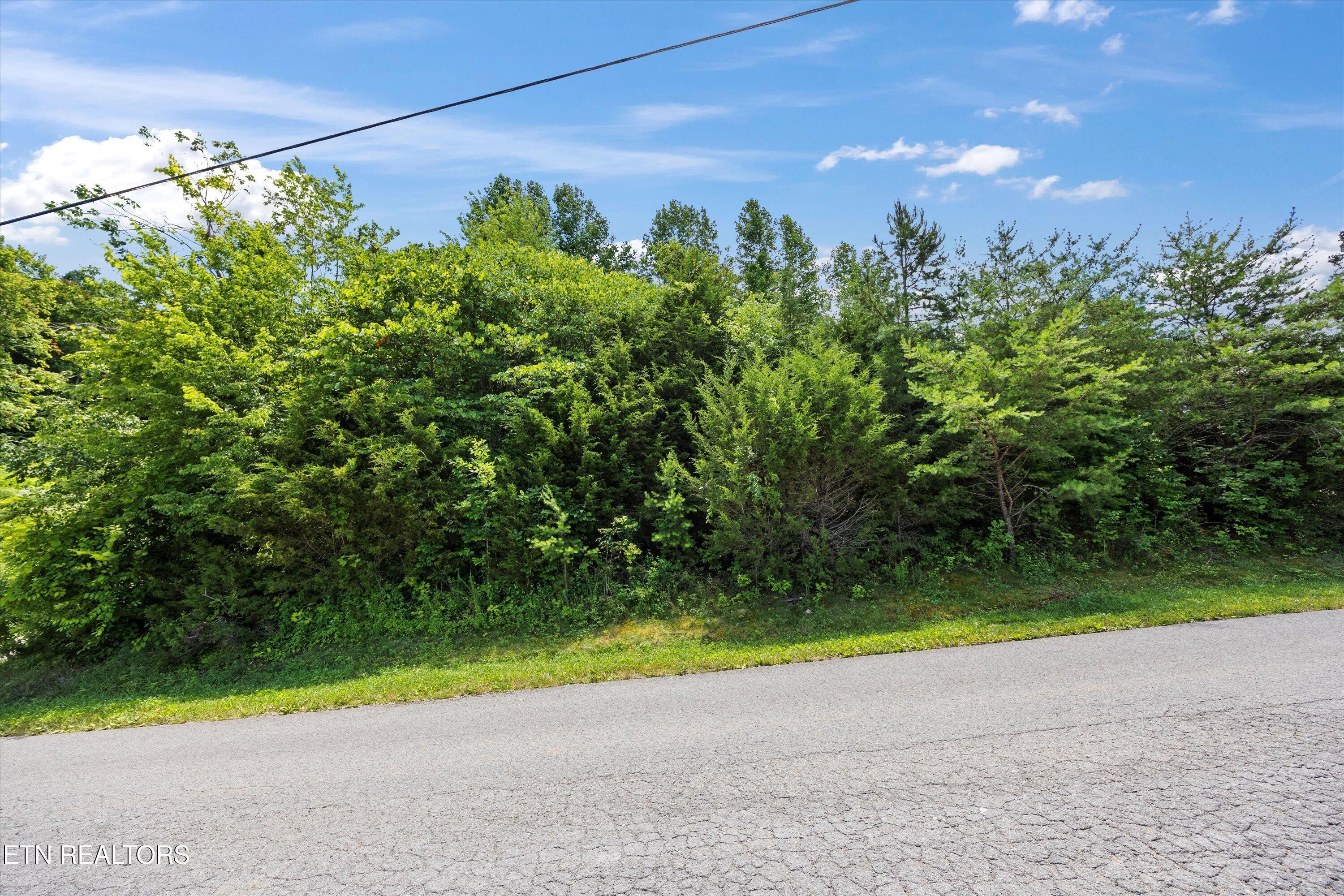 Norris Lake Real Estate - Image# 16