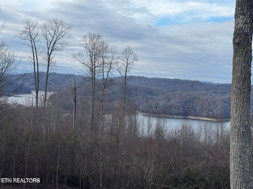 Norris Lake Real Estate - Image# 14