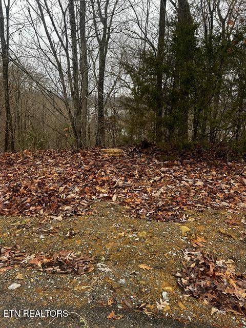 Lot 743 Russell Brothers Rd, Sharps Chapel, TN - Norris Lake Real Estate - Image# 2