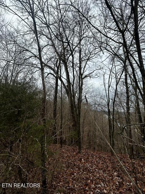 Lot 743 Russell Brothers Rd, Sharps Chapel, TN - Norris Lake Real Estate - Image# 3