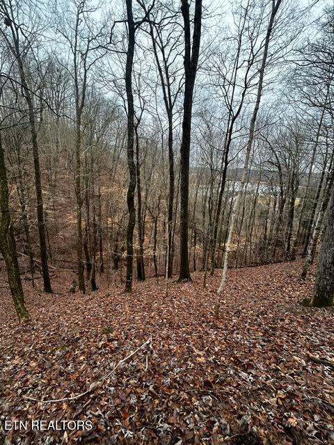 Lot 743 Russell Brothers Rd, Sharps Chapel, TN - Norris Lake Real Estate - Image# 4