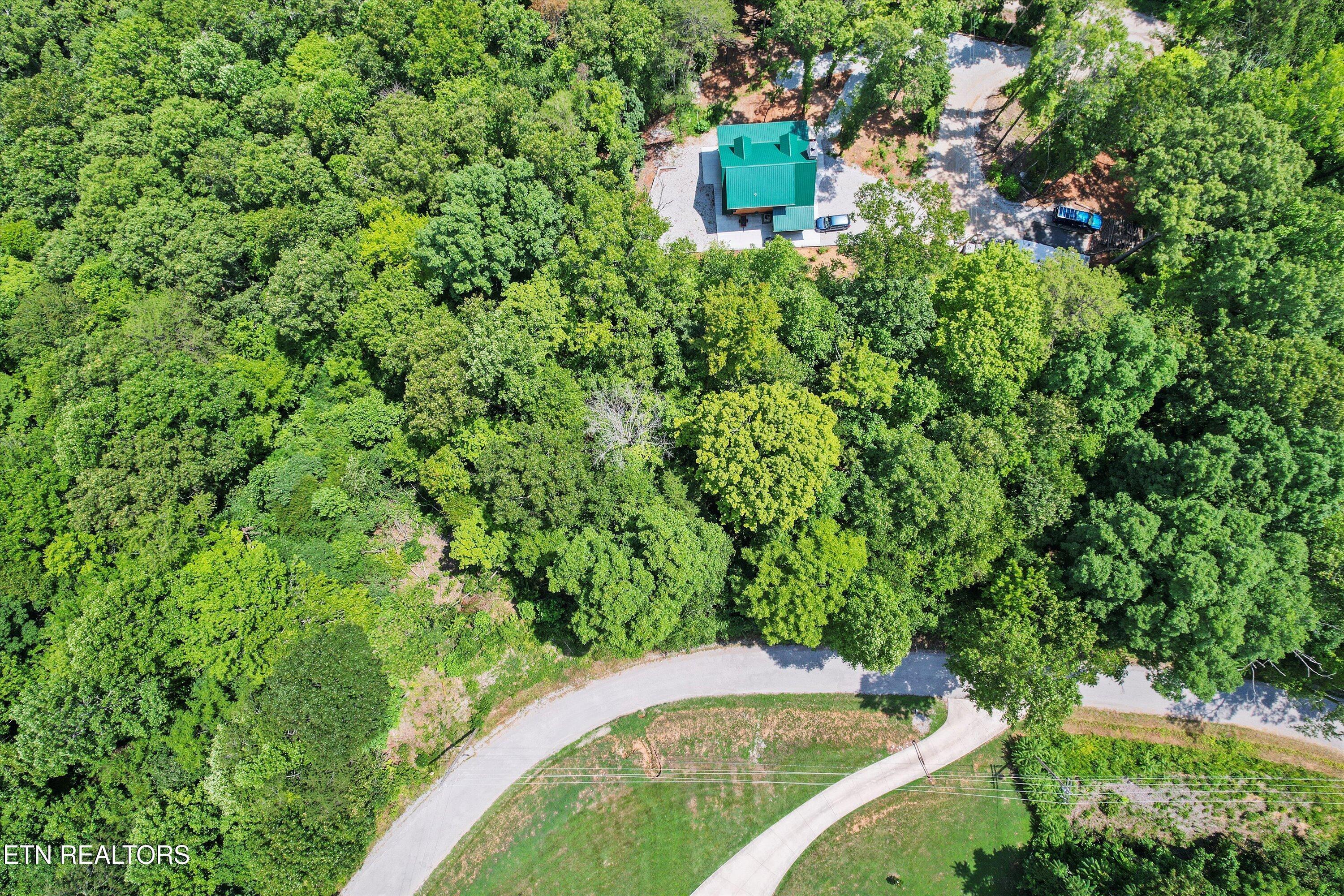 Norris Lake Real Estate - Image# 7