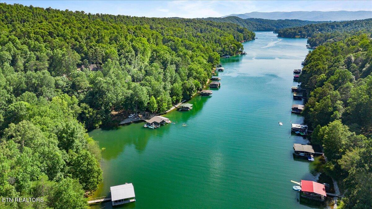 2270 Cove Pointe Rd, Lafollette, TN - Norris Lake Real Estate - Image# 28