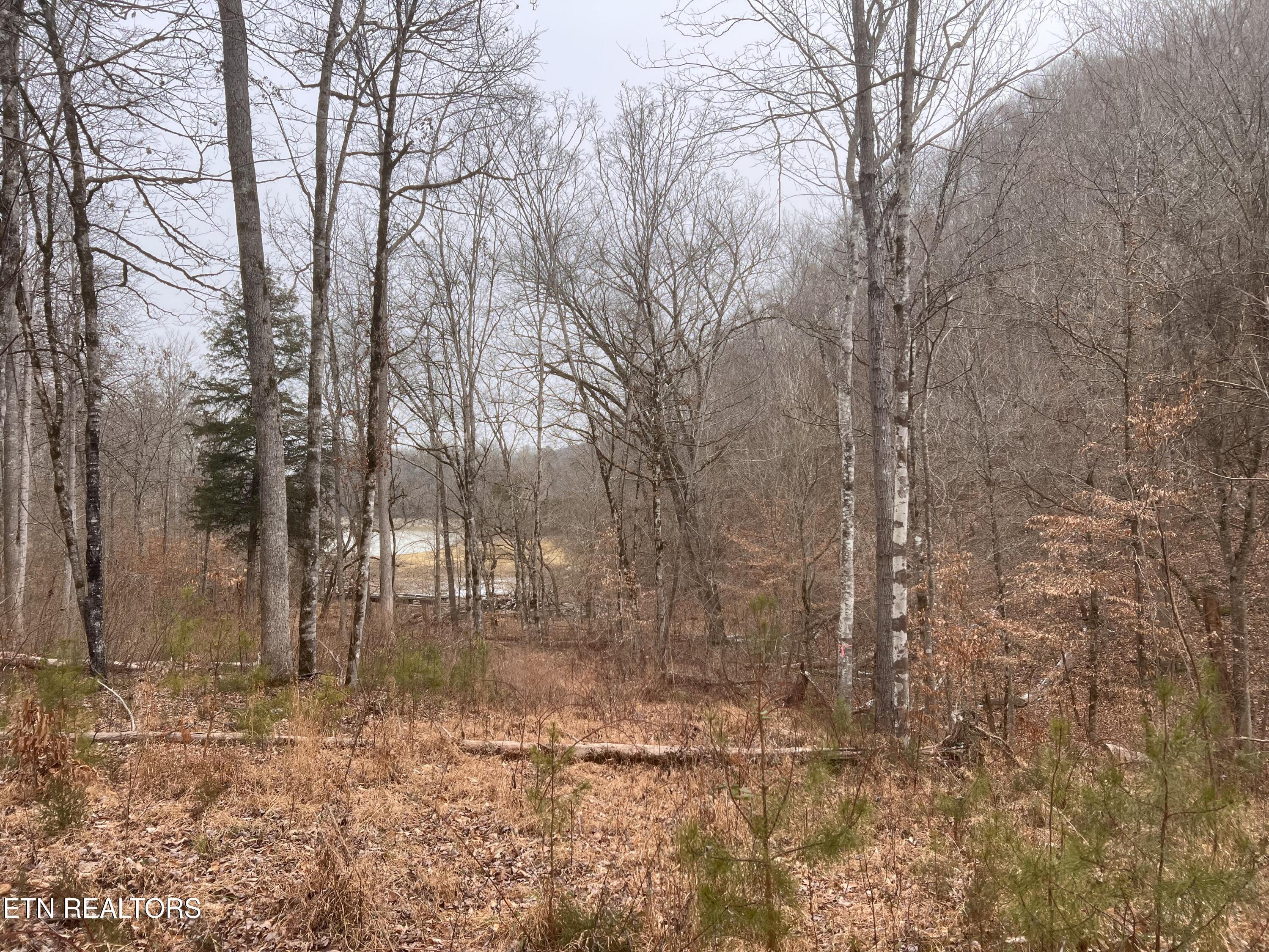 Norris Lake Real Estate - Image# 19