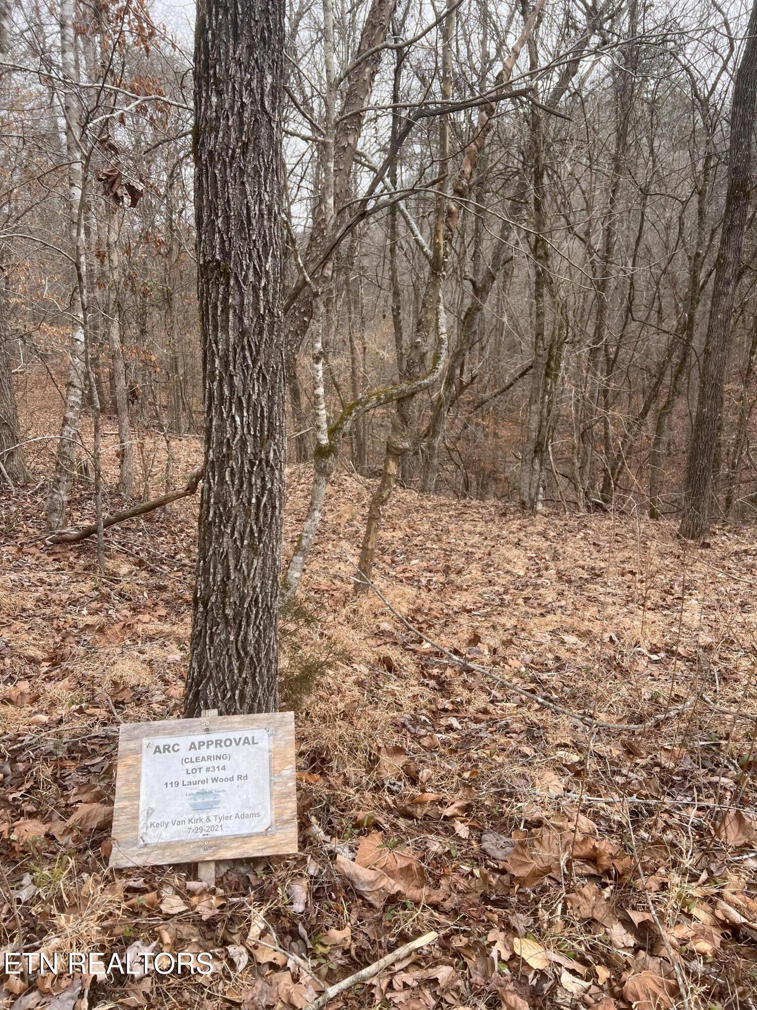 Norris Lake Real Estate - Image# 21