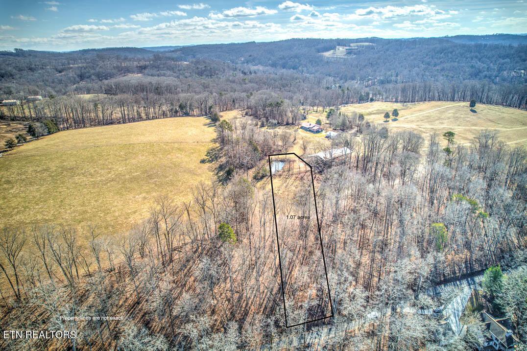 Norris Lake Real Estate - Image# 3