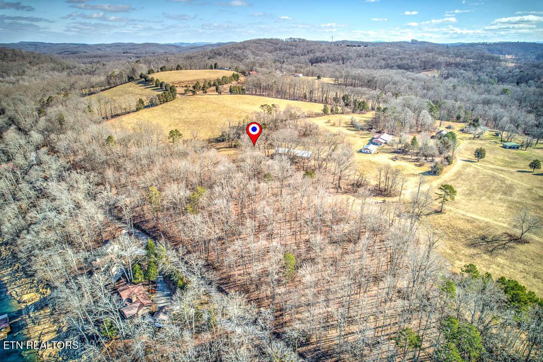 Norris Lake Real Estate - Image# 8