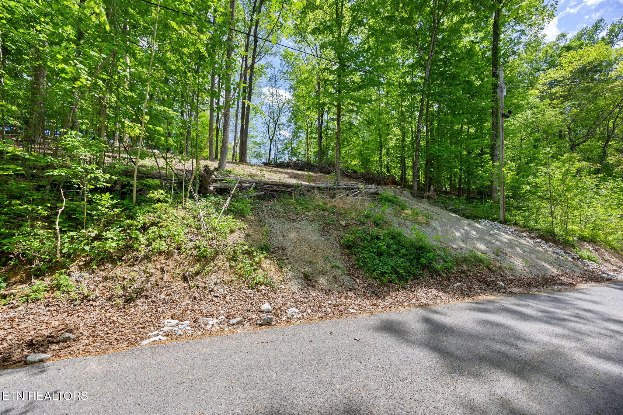 Norris Lake Real Estate - Image# 13
