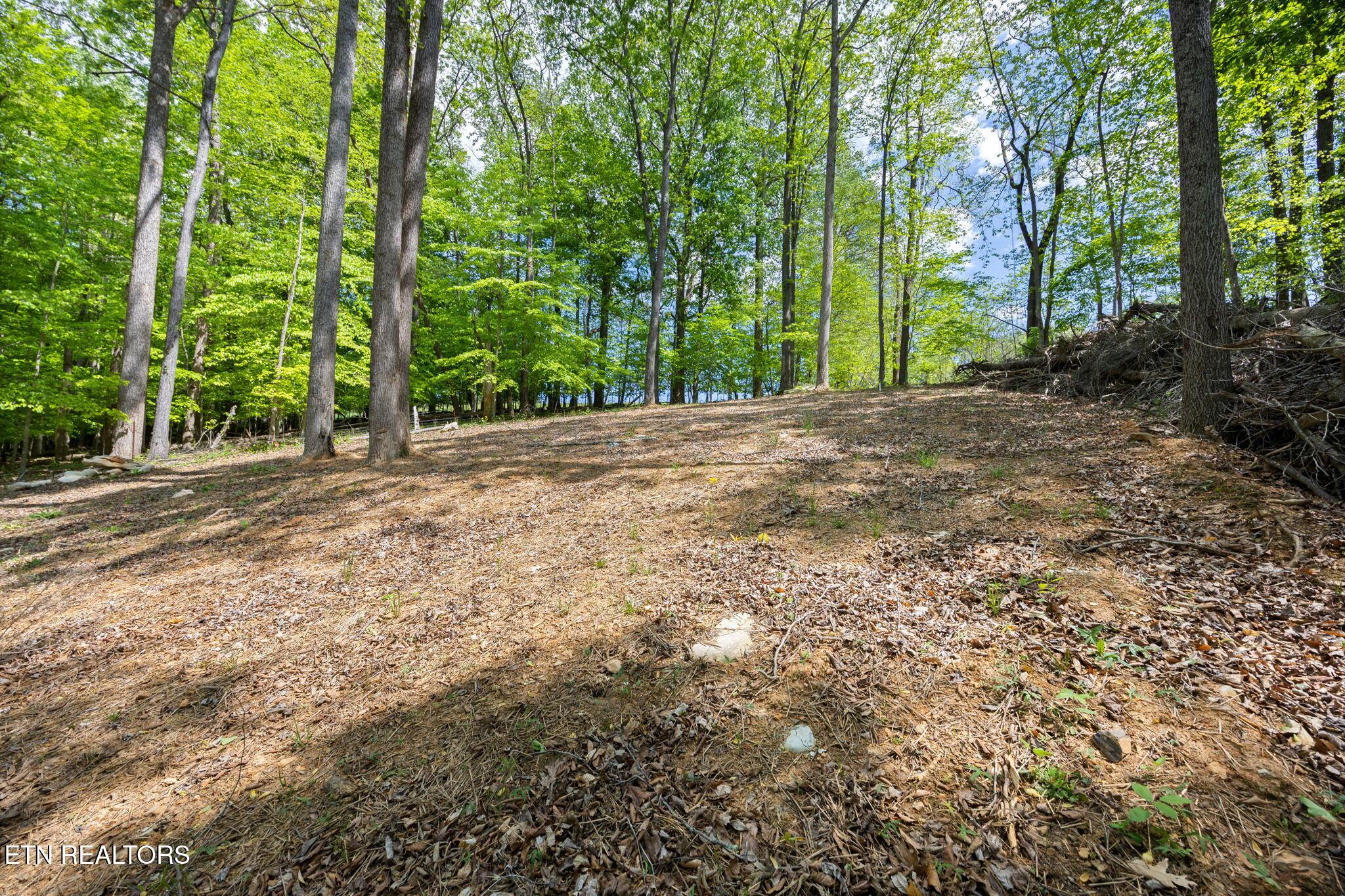 Norris Lake Real Estate - Image# 7