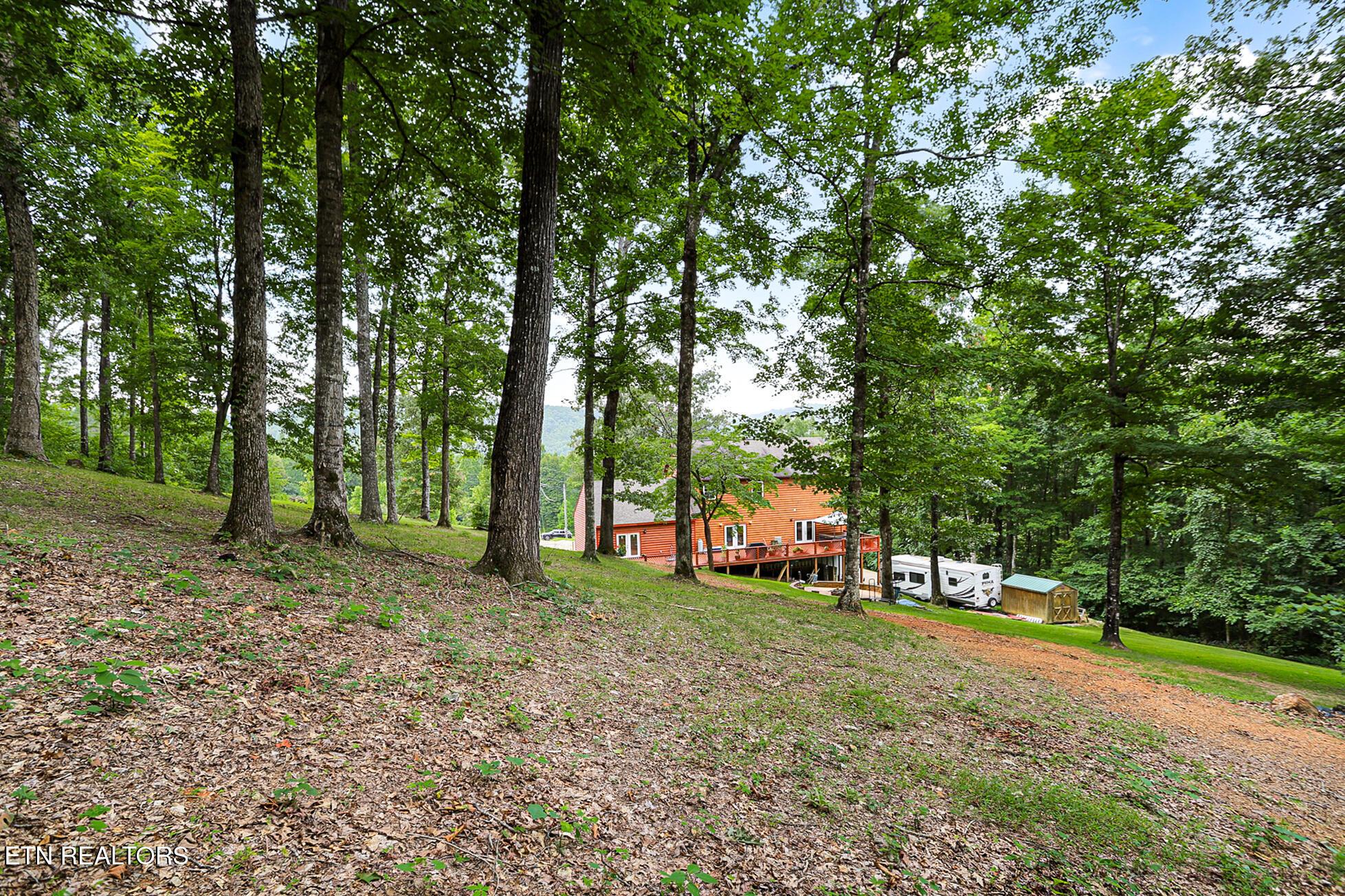 Norris Lake Real Estate - Image# 41