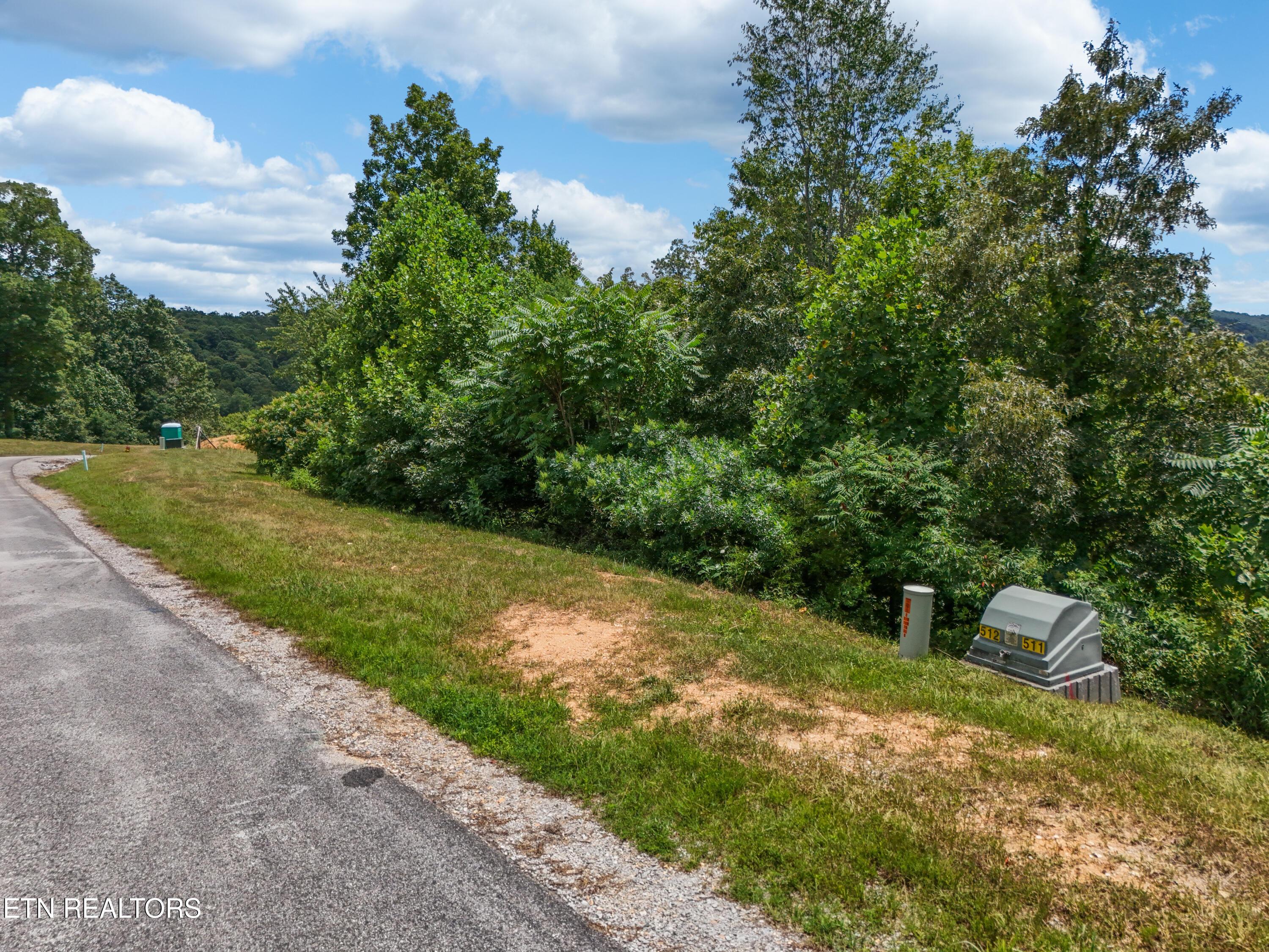 Norris Lake Real Estate - Image# 4