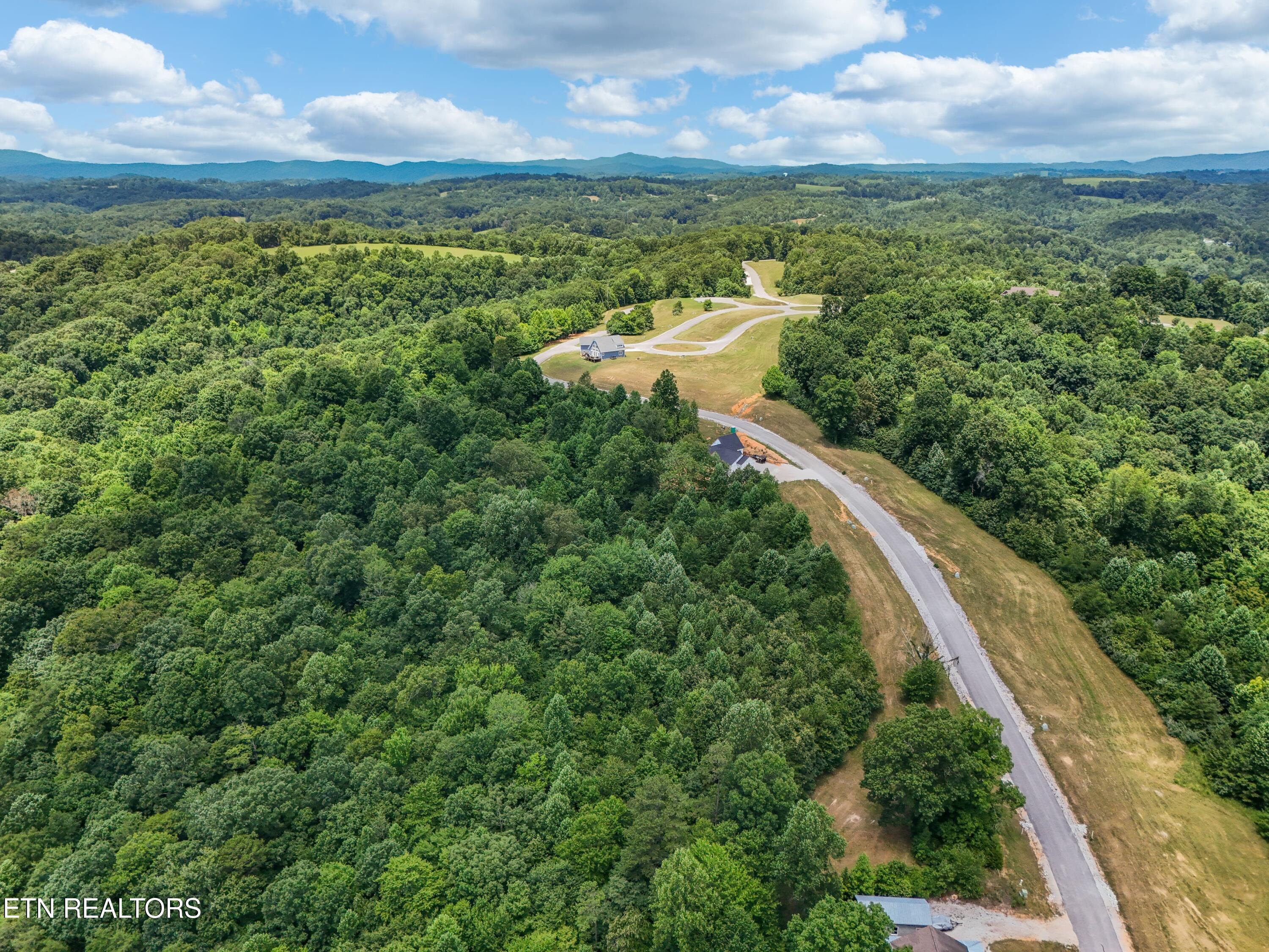 Norris Lake Real Estate - Image# 13
