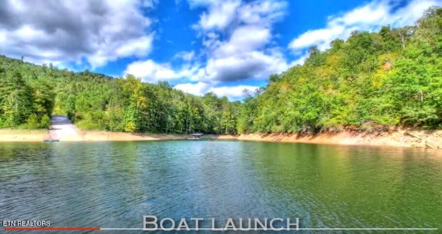 Norris Lake Real Estate - Image# 59