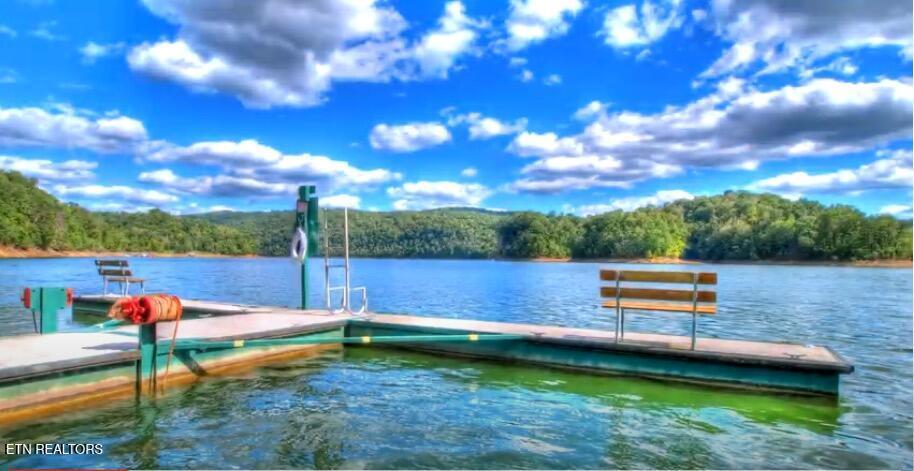 Norris Lake Real Estate - Image# 60