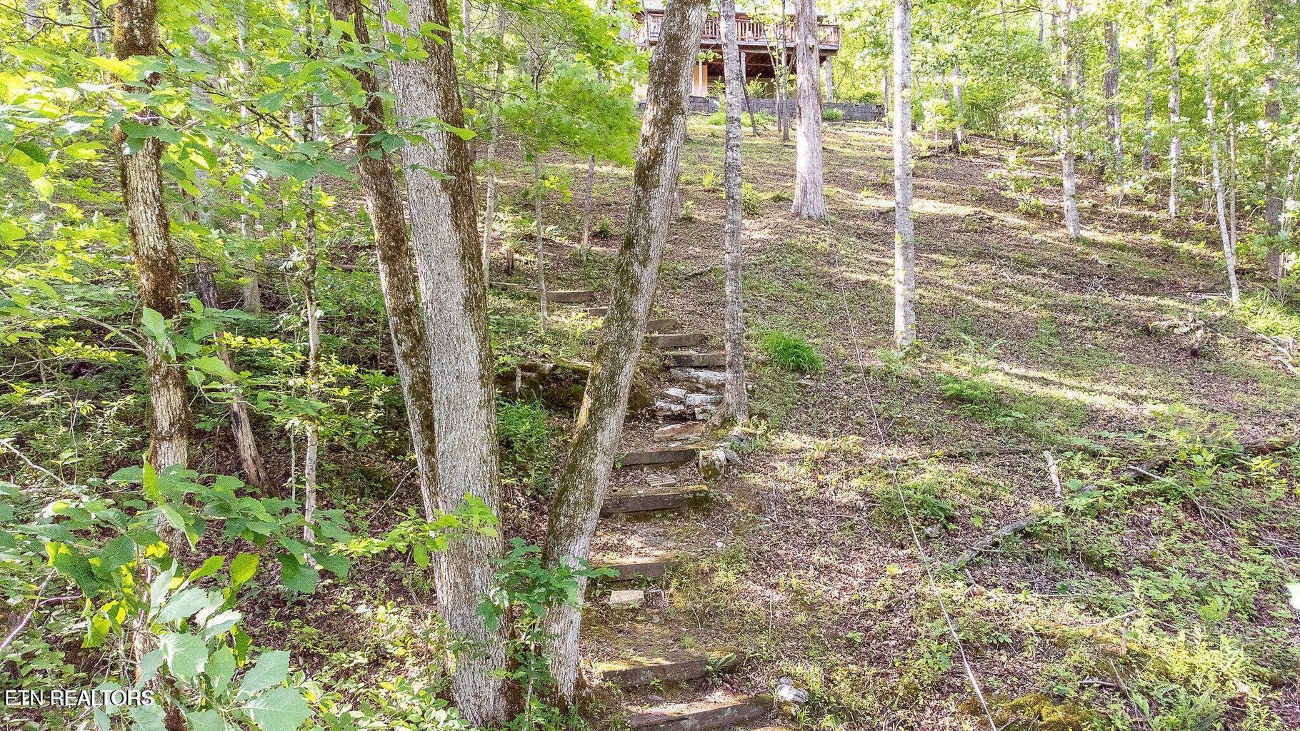 Norris Lake Real Estate - Image# 22