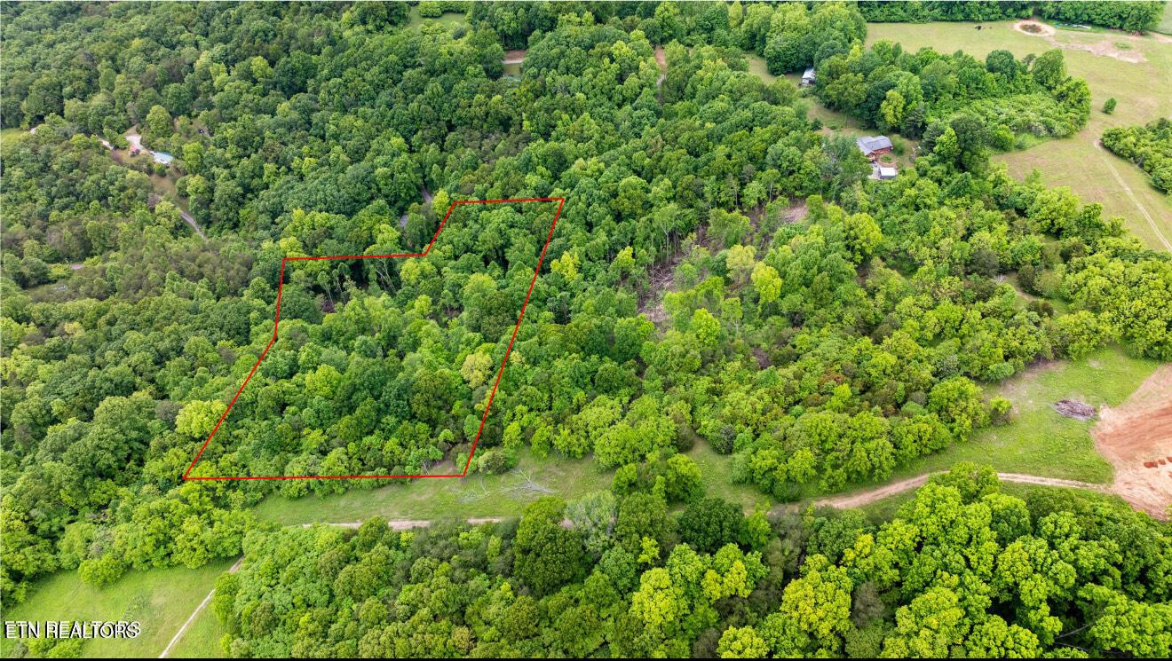 Graves Hollow lot 2 Rd, Maynardville, TN - Norris Lake Real Estate - Image# 3