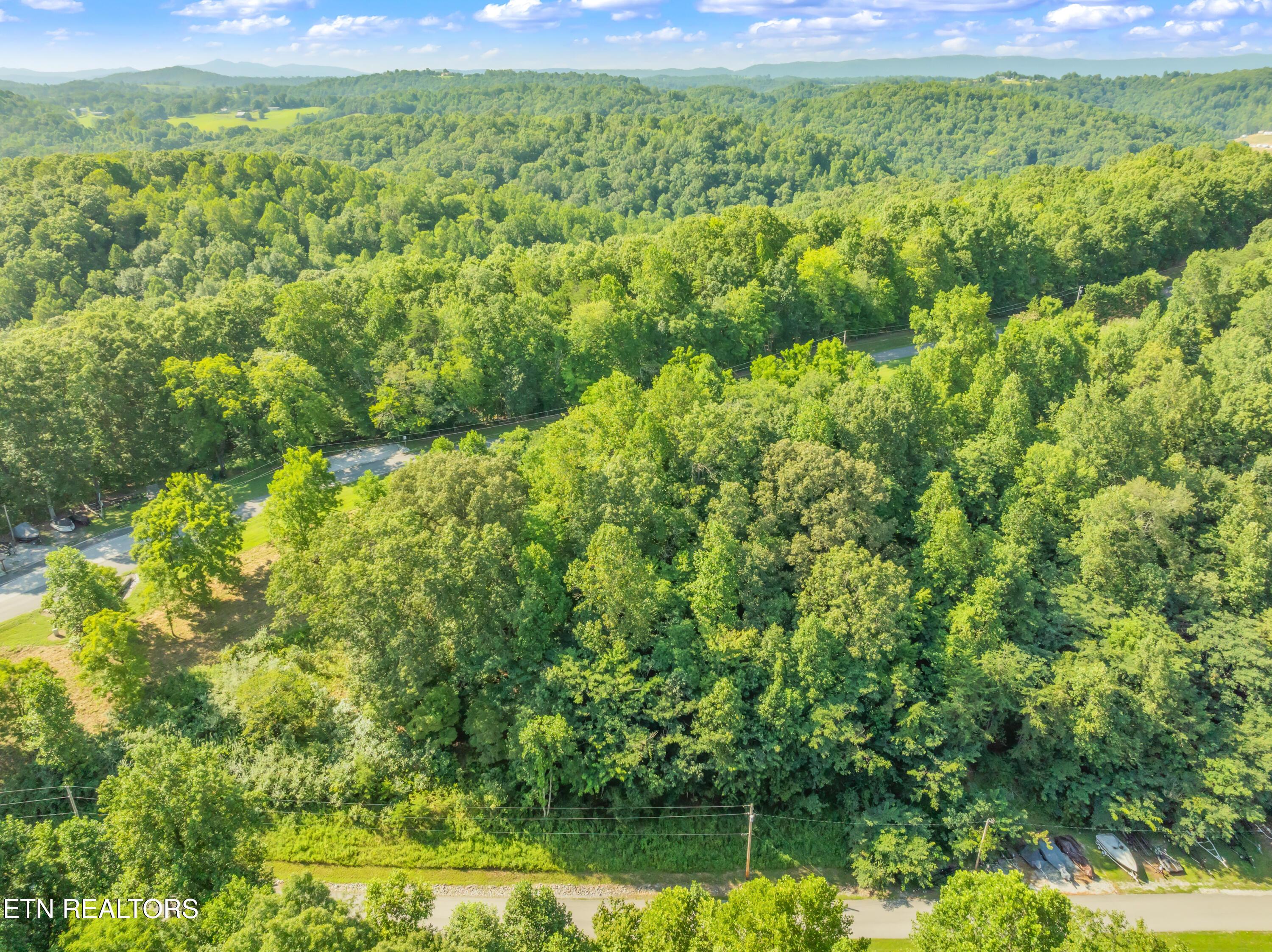 Norris Lake Real Estate - Image# 12